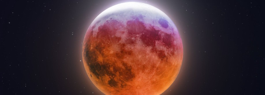 Mark Gruzewski Cover Image